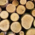 Tips for Buying Quality Firewood