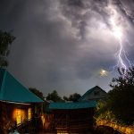 Lightning and Trees