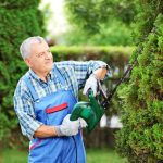 Tree & Shrub Trimming in Atascocita, TX