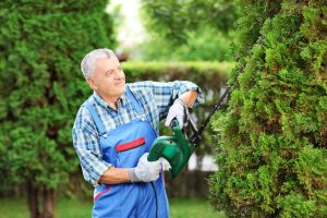 Tree & Shrub Trimming in Atascocita, TX