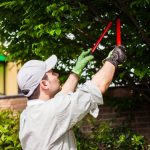 Tree Care Services in Kingwood, TX