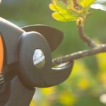 Tree Pruning & Care Services in Kingwood, TX