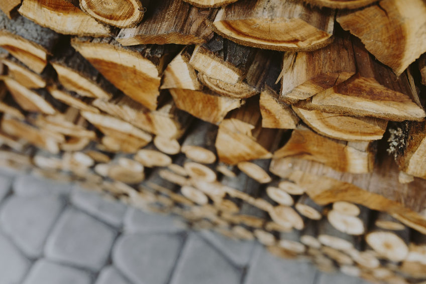 Tips for Storing Firewood Properly