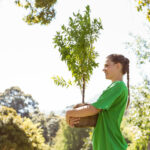 Tree Care Company in Kingwood, TX