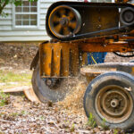 Stump Removal Services in Kingwood, TX
